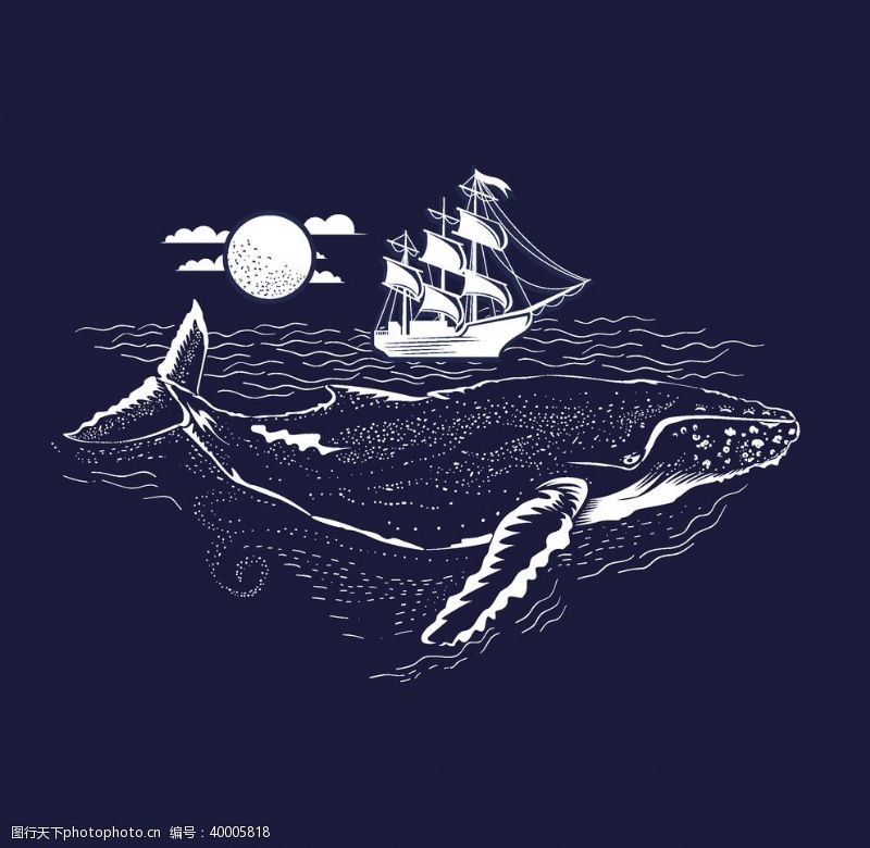 大海鲸鱼鲸鱼海洋海底世界各种鱼图片