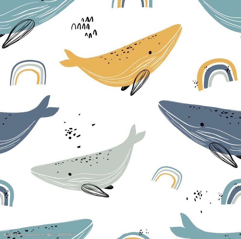 男装t恤鲸鱼海洋海底世界各种鱼图片