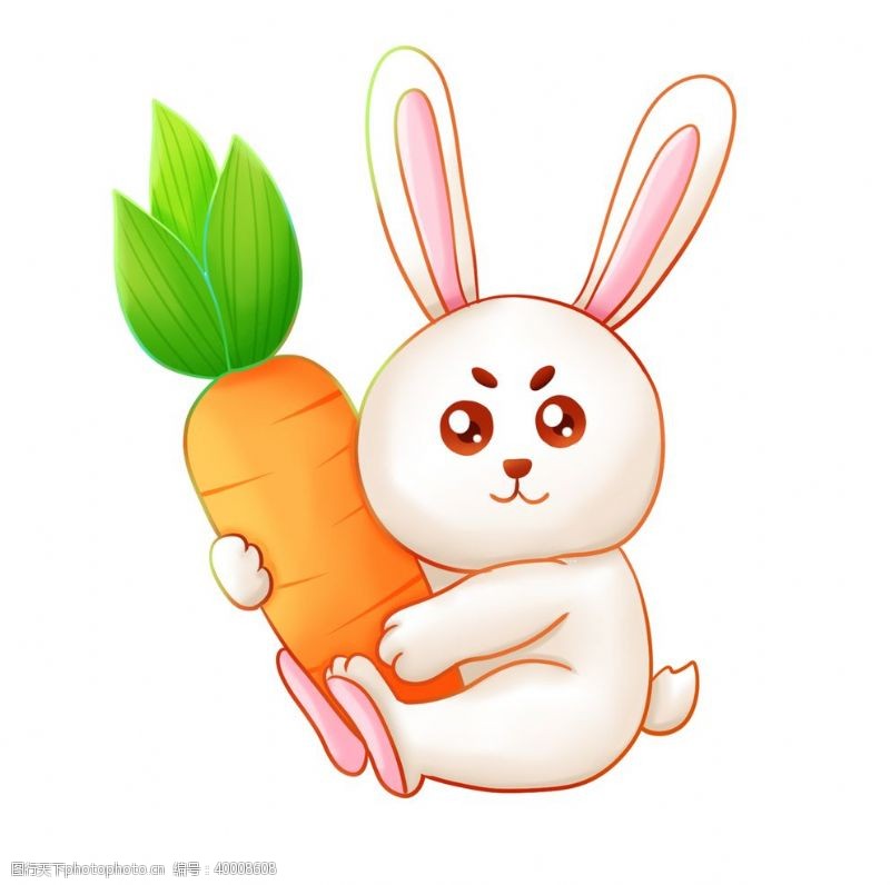 小鸟插图卡通兔子红萝卜图片