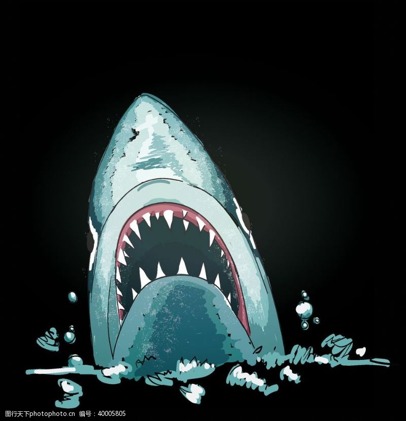 动物logo鲨鱼海洋各种鱼图片