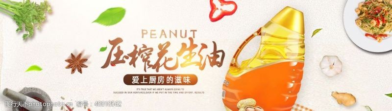 水果粽子食用油淘宝海报图片