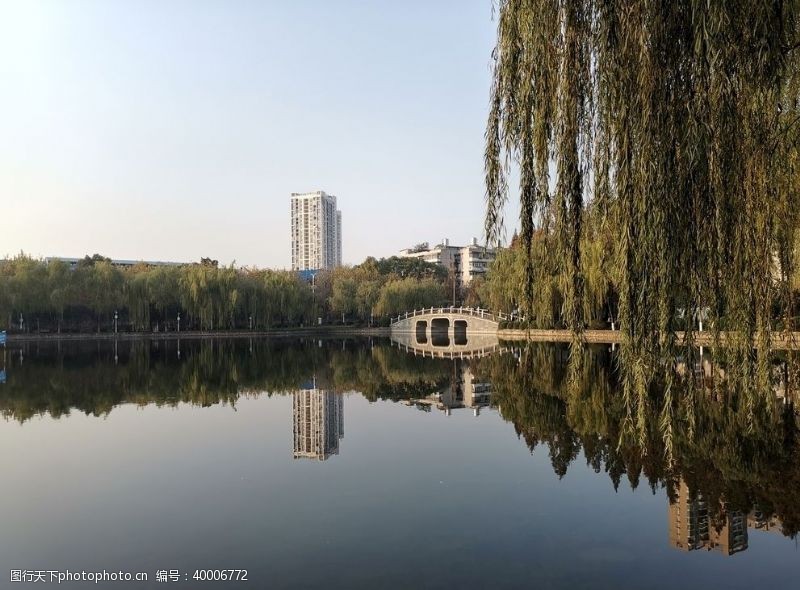 湿地公园武汉四美塘公园图片