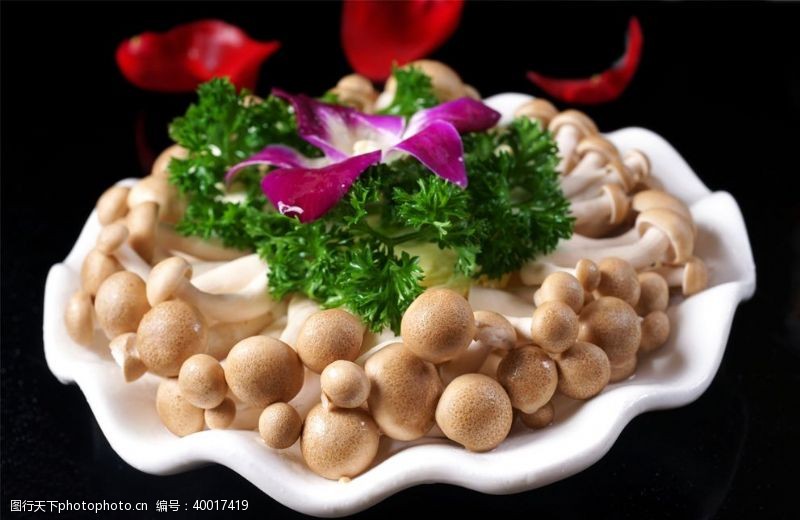 高清菜谱用图珍菌类蟹味菇图片