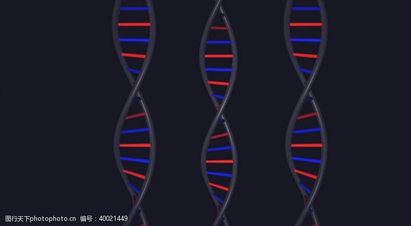 基因dnaC4D模型动画DNA模型图片