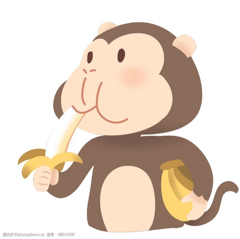 吃香蕉的猴子插画图片