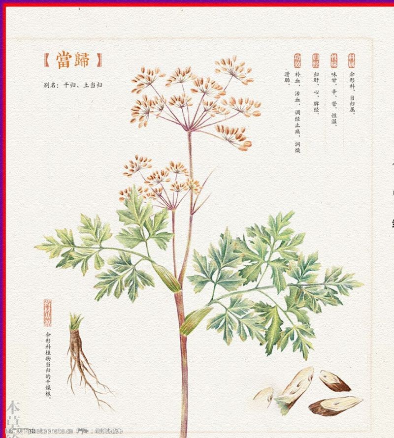 植树节当归图片