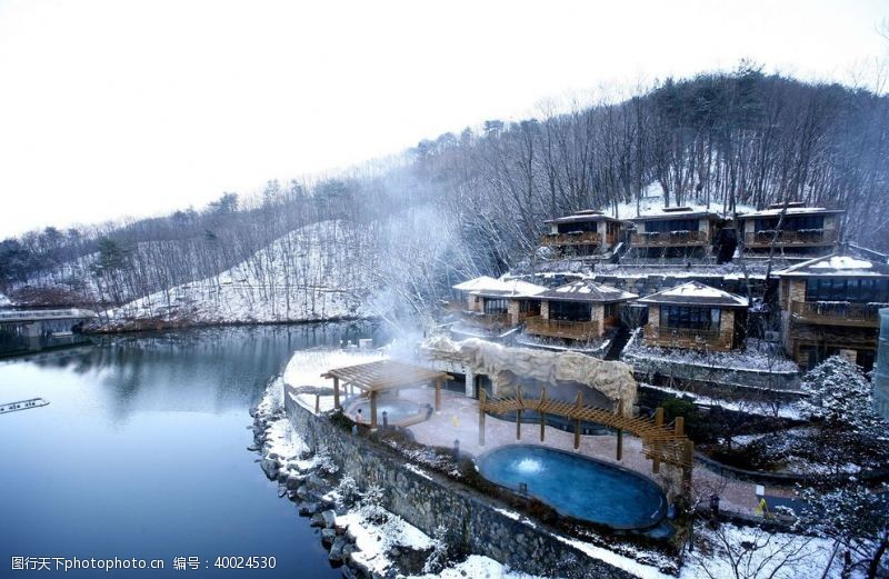 花草背景风景图片