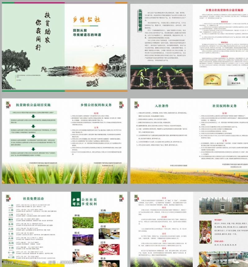 公社农业画册图片