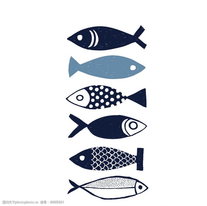 白卡纸海底世界各种鱼图片