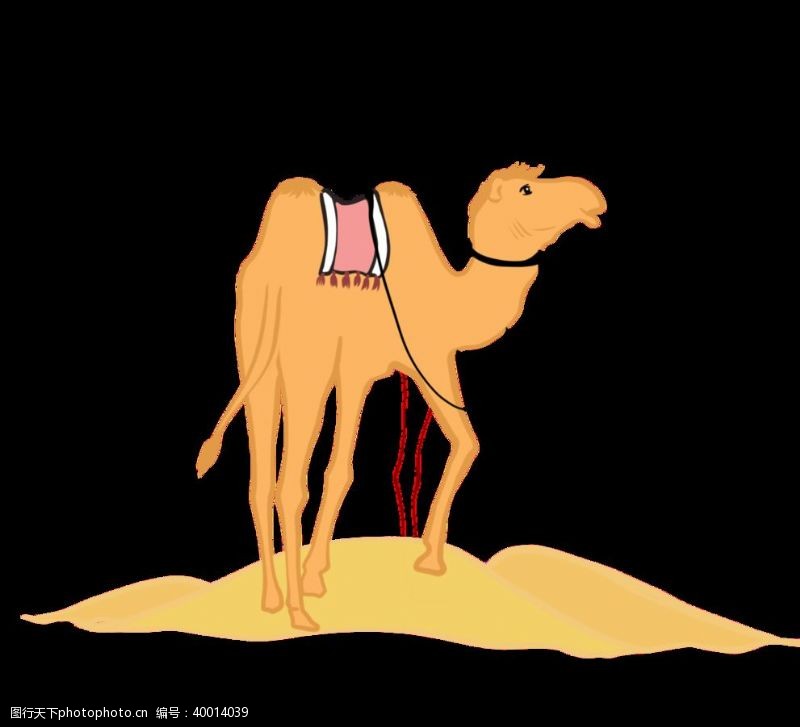本本封面卡通骆驼插画图片