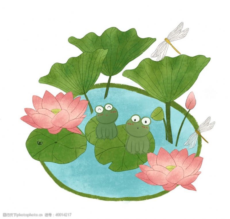 白描莲花荷叶青蛙插画图片