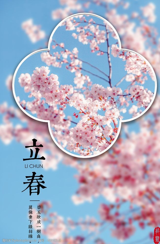 节日花朵立春图片