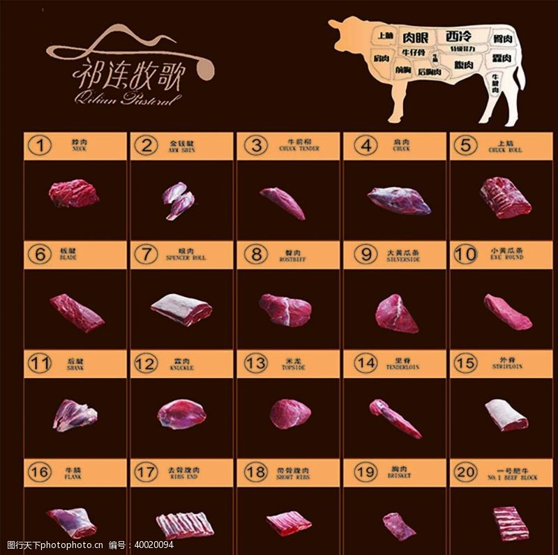 牛肉分割图图片