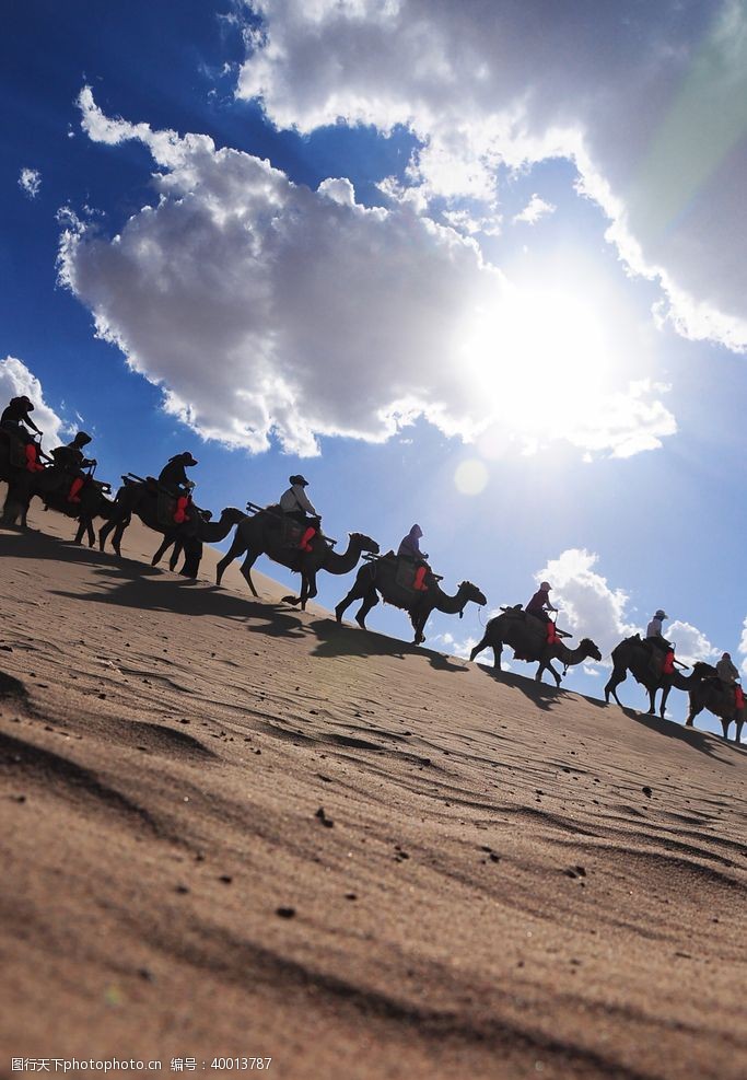 丝绸沙漠里行走的骆驼队伍图片