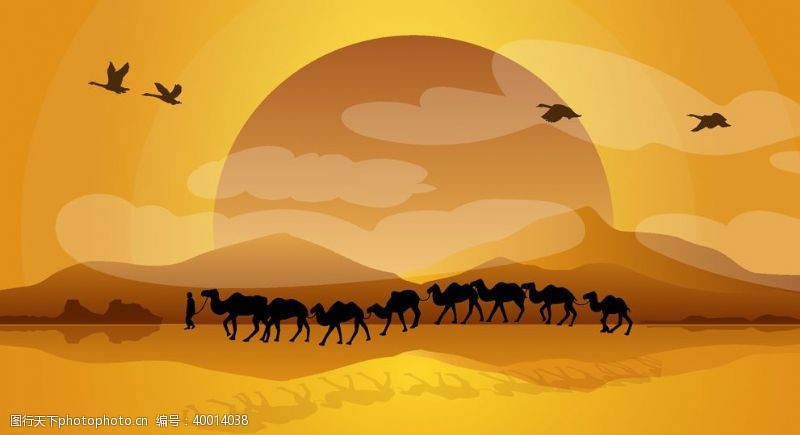 丝绸沙漠里夕阳下的骆驼队伍图片