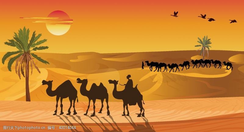 丝绸沙漠骆驼插画图片