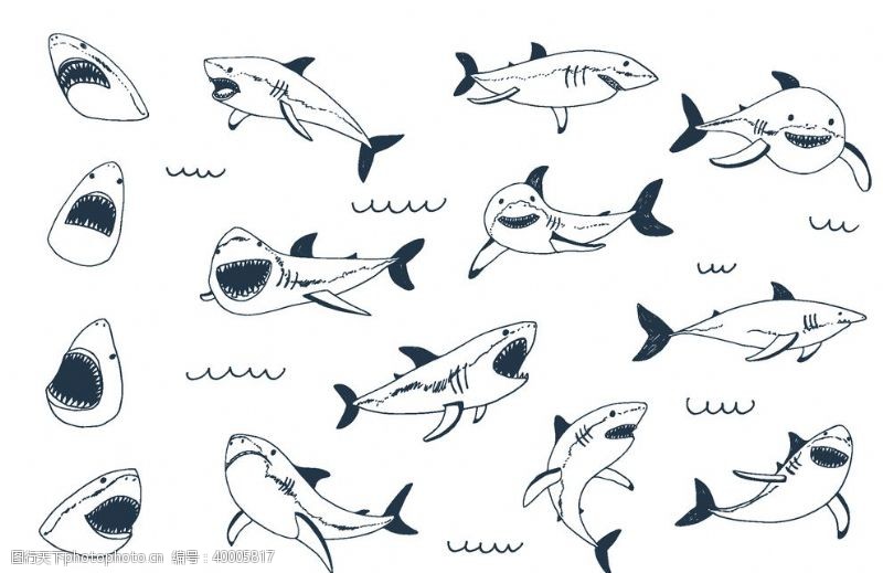 动物logo鲨鱼海洋海底世界各种鱼图片