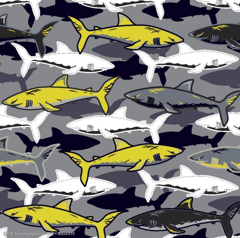 白卡纸鲨鱼海洋海底世界各种鱼图片