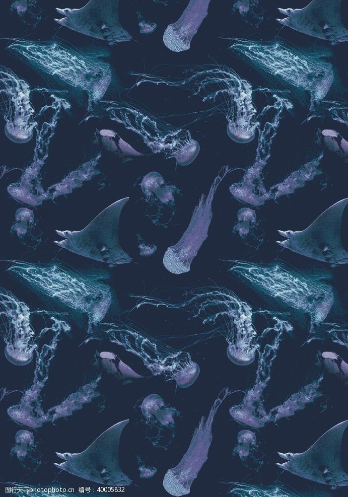 海洋封面鲨鱼海洋海底世界各种鱼图片