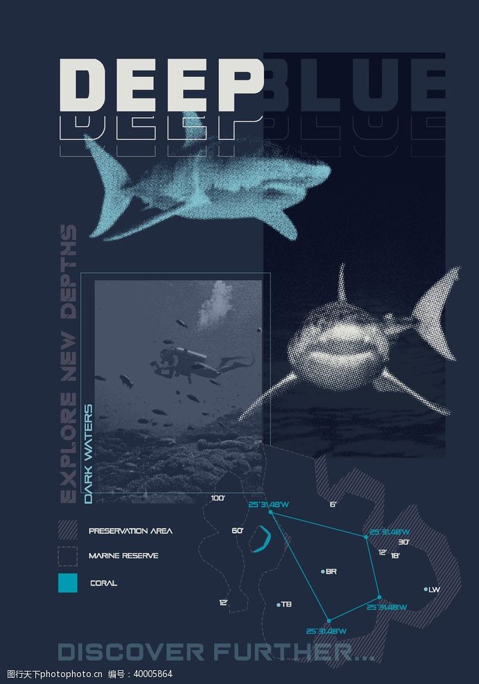 杂志底纹鲨鱼海洋海底世界各种鱼图片