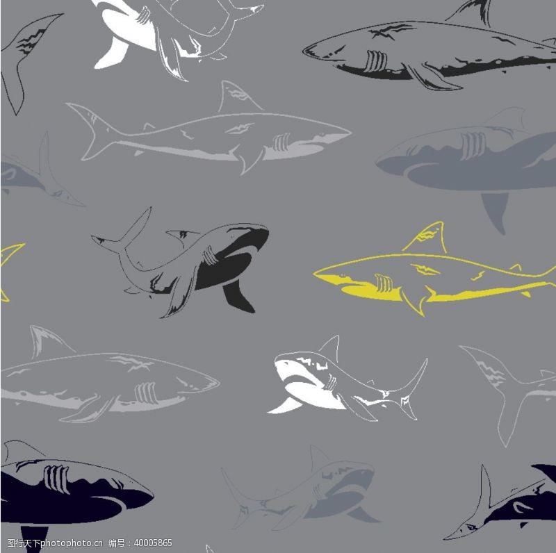 时尚包装鲨鱼海洋海底世界各种鱼图片