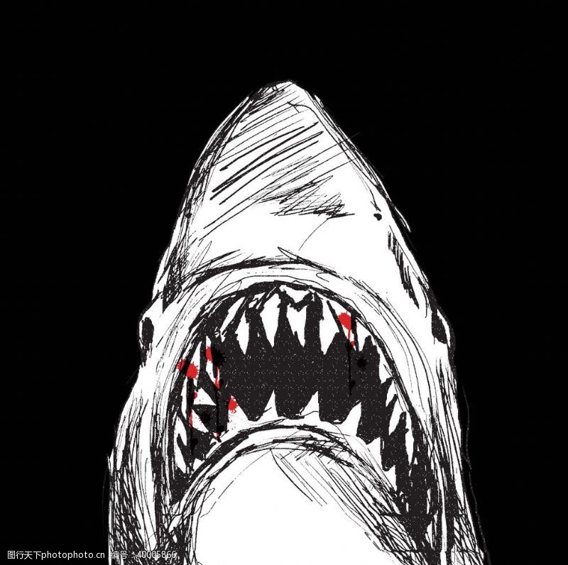 大白鲨鲨鱼海洋海底世界各种鱼图片