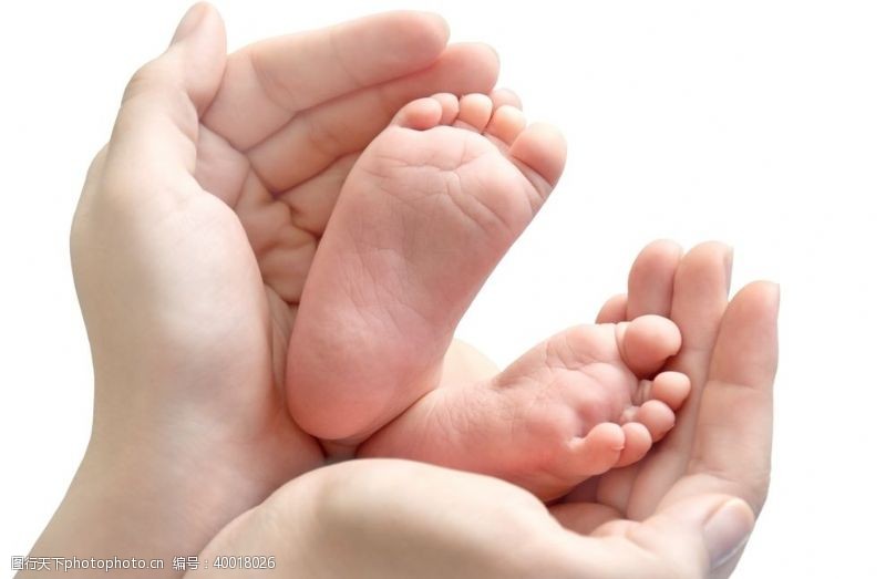 婴儿脚双手捧婴儿小脚丫图片