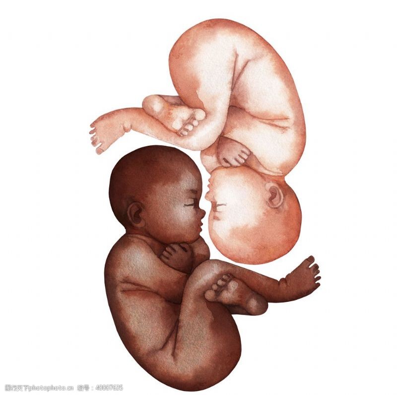 医疗护理胎儿图片