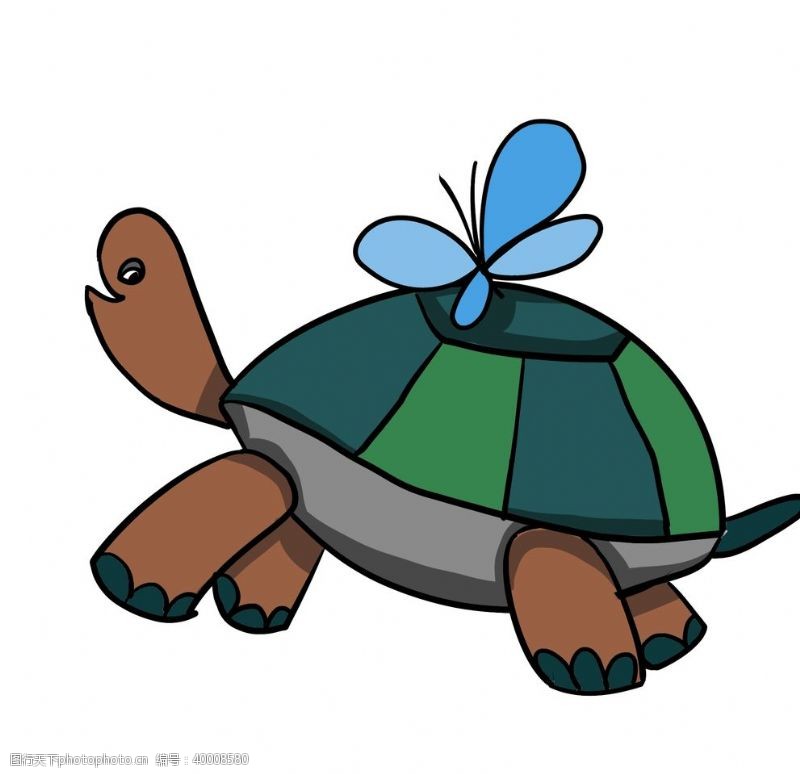 手绘素材乌龟插画图片
