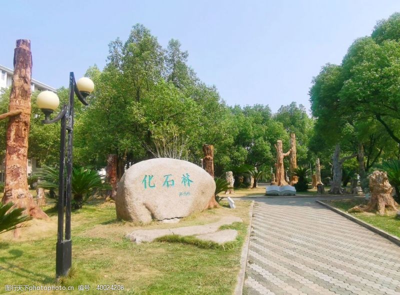 人文景观武汉地质大学石化林图片