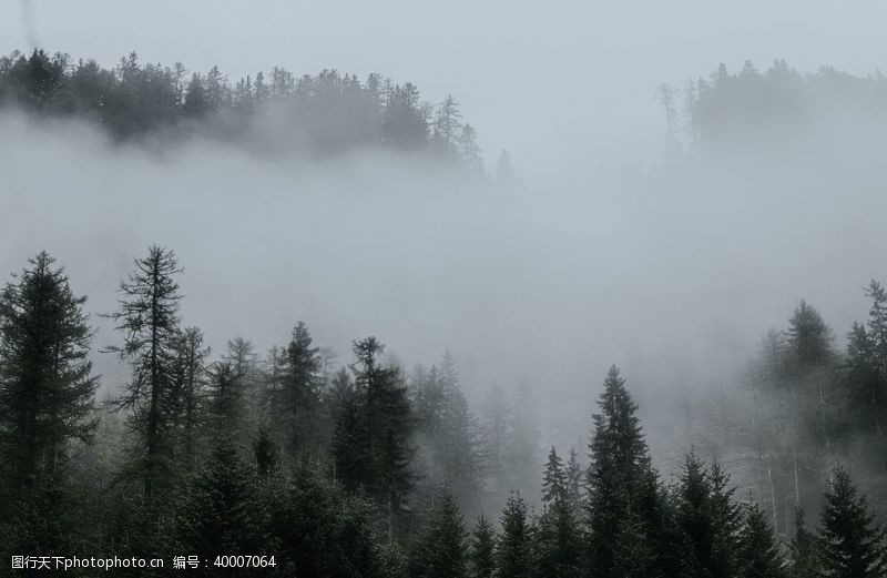 仙境雾气图片