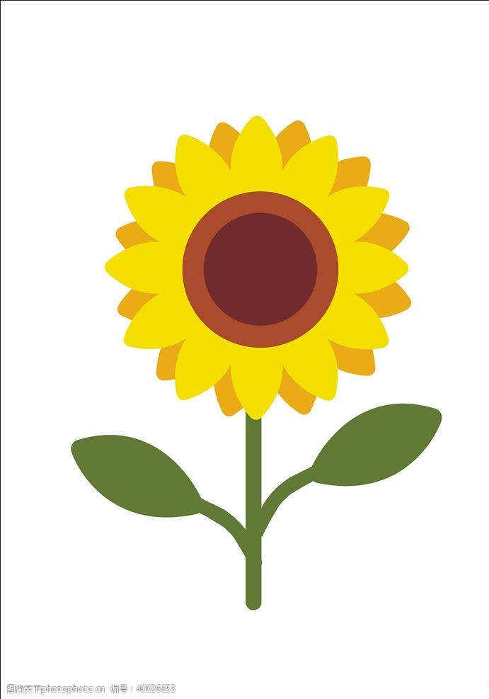 矢量植物向日葵太阳花矢量金黄色图片