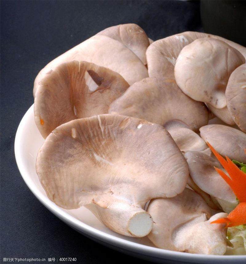 高清菜谱用图鲜菌鲍鱼菇图片