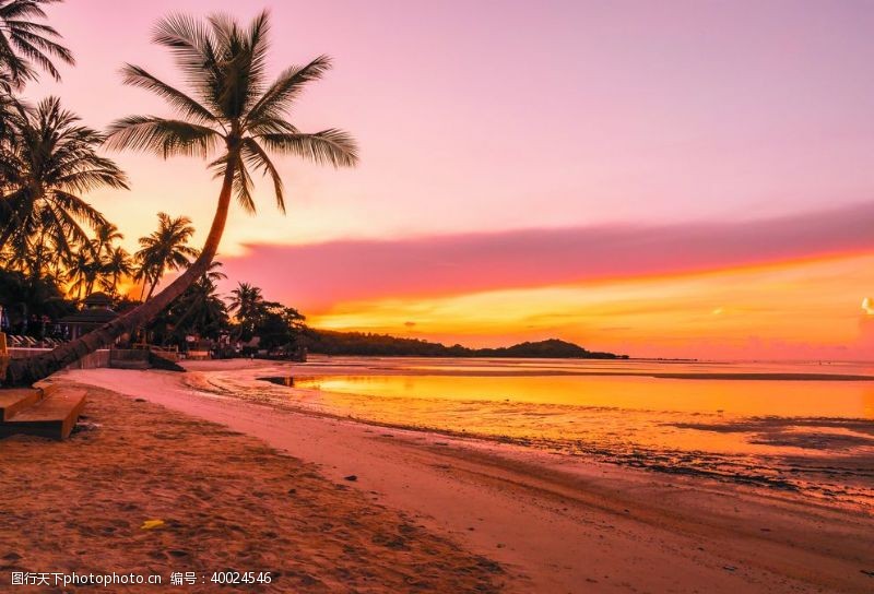 沙滩背景夕阳下的海岸线椰树装饰背景摄影图片