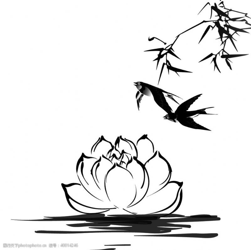水滴设计中国风水墨莲花插画图片