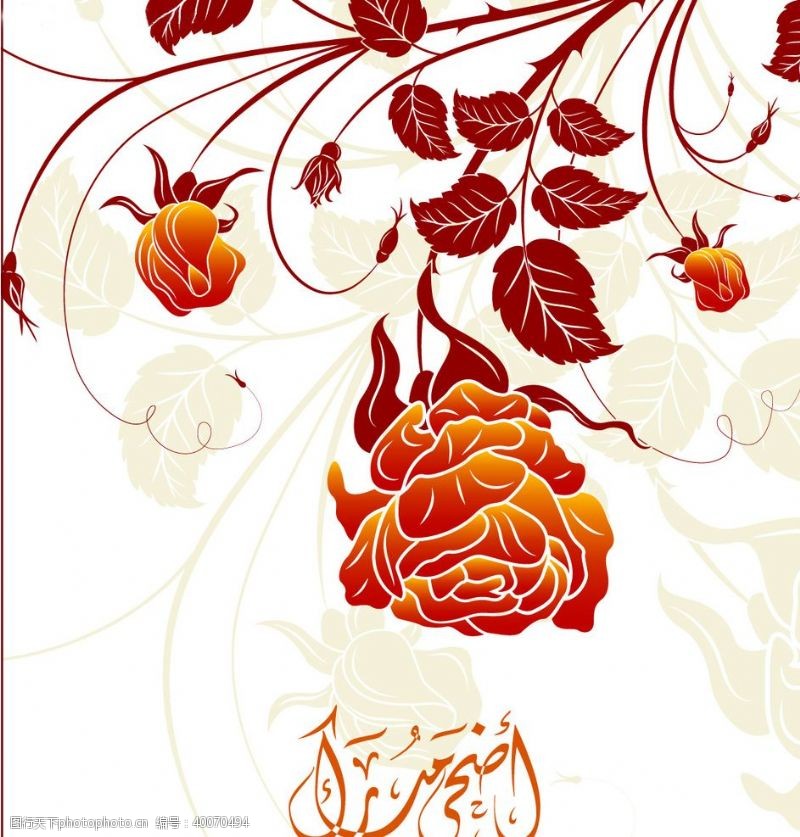 玫瑰花矢量素材彩绘花图片