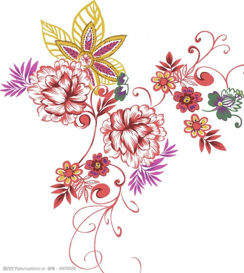 牡丹花素材彩绘花图片