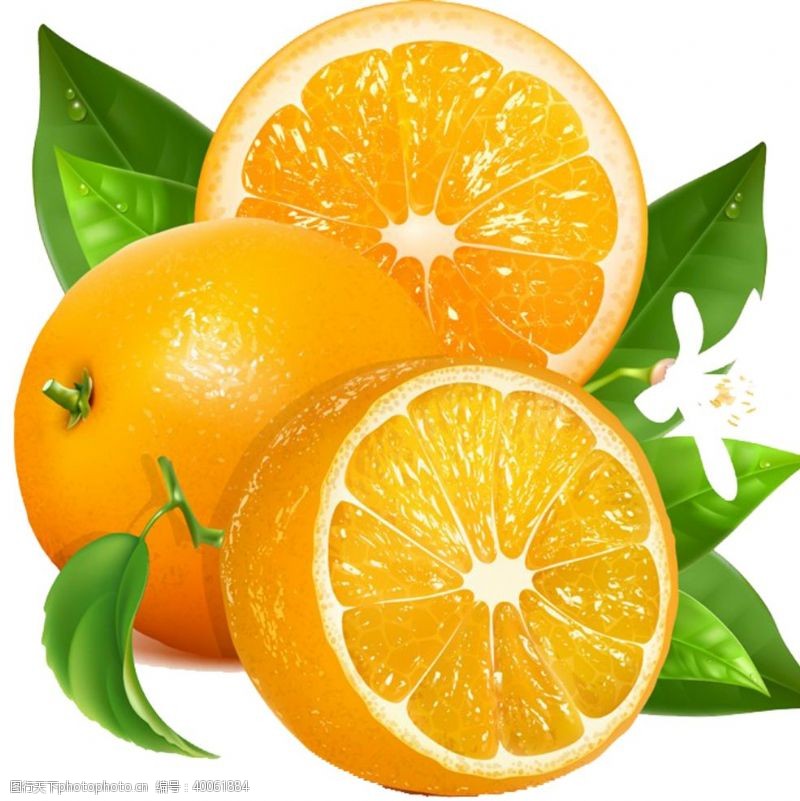 鲜果肉橙子图片
