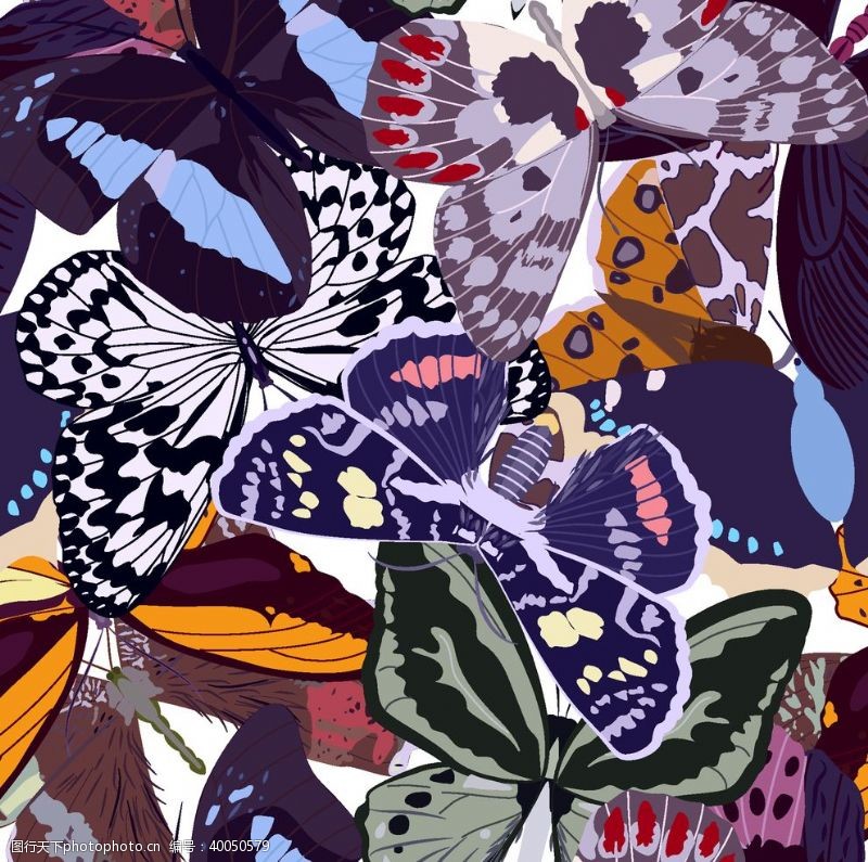 照片墙背景蝴蝶昆虫T恤图案排版设计图片