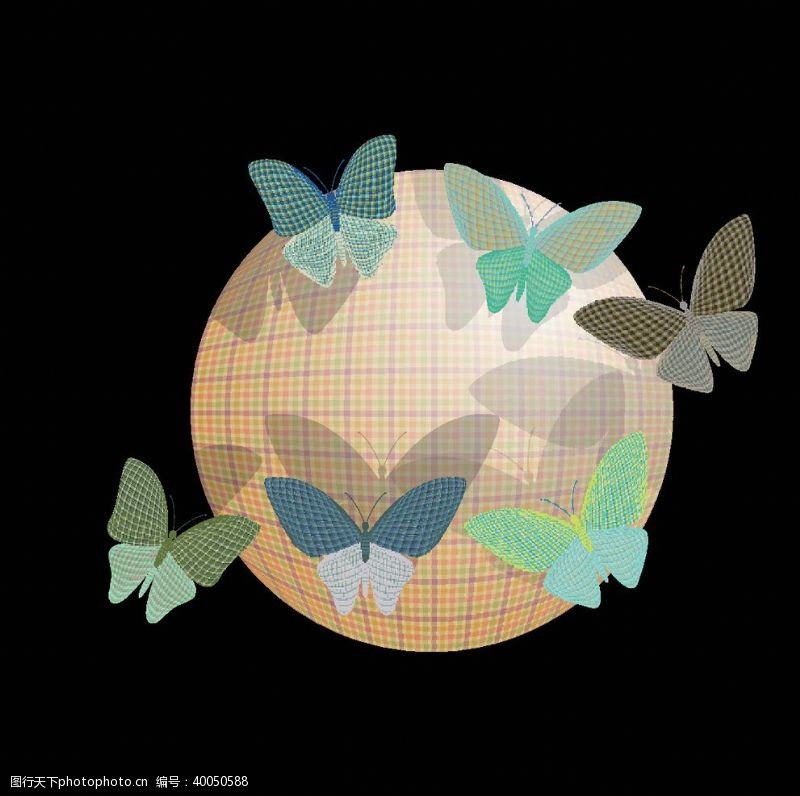 抽象蝴蝶昆虫T恤图案排版设计图片