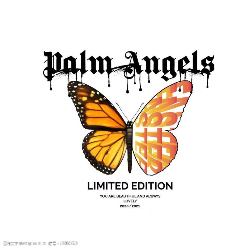 女排蝴蝶昆虫T恤图案排版设计图片
