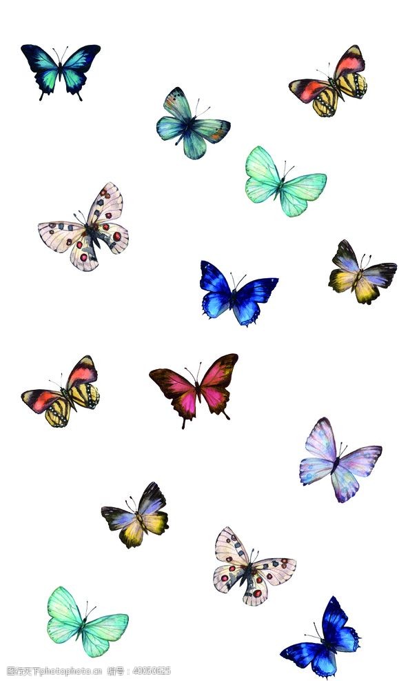 时尚渐变蝴蝶昆虫T恤图案排版设计图片