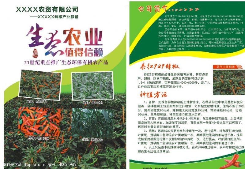 绿色背景辣椒种植单页图片