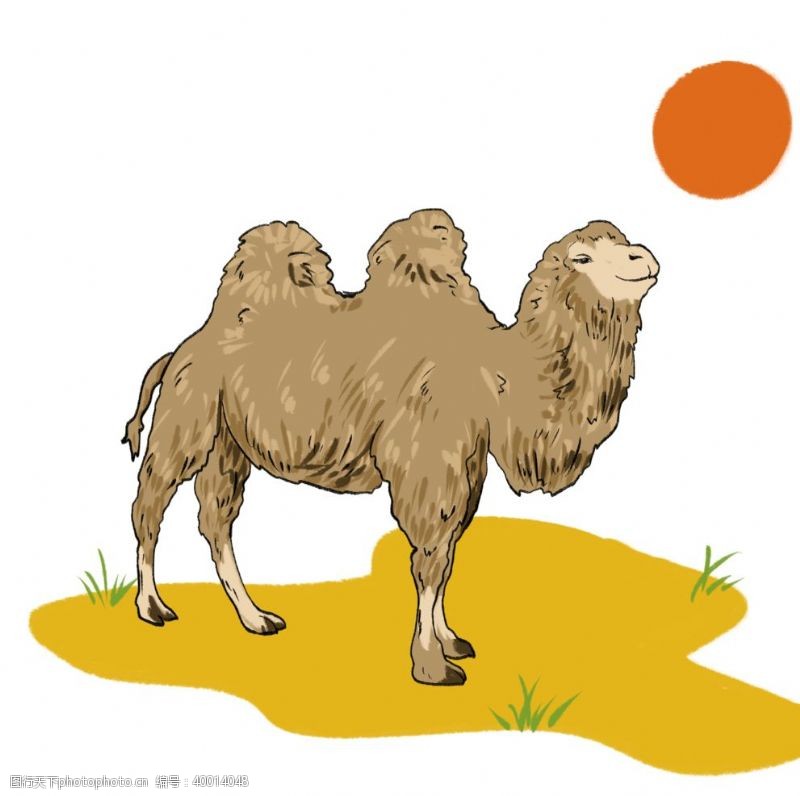 丝绸骆驼插画图片