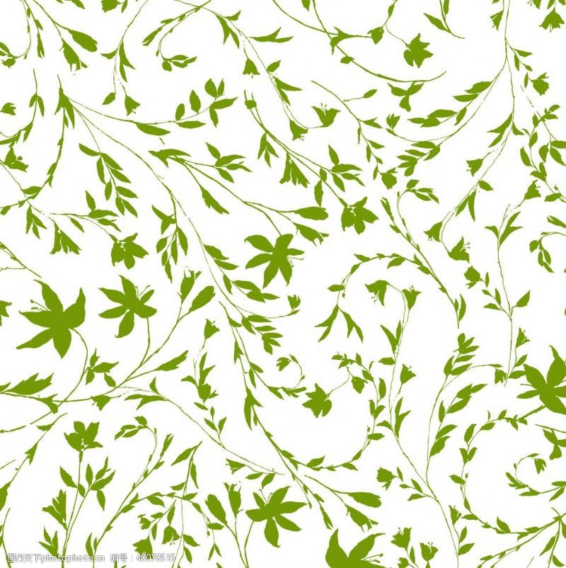 丝巾绿化线条图片