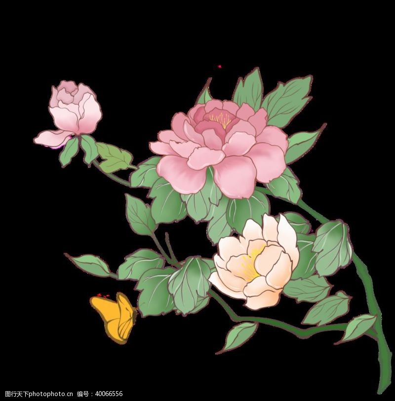 粉笔牡丹花插画素材图片