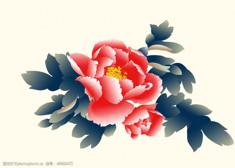 彩绘花卉牡丹花素材插画图片