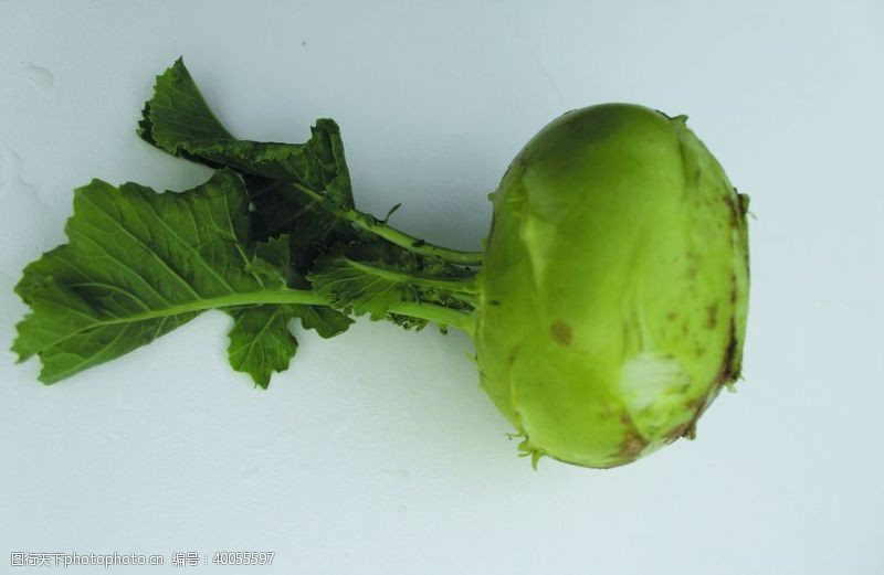 相机苤兰绿色蔬菜图片