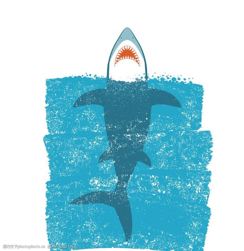 封面各种设计鲨鱼海洋海底世界各种鱼图片