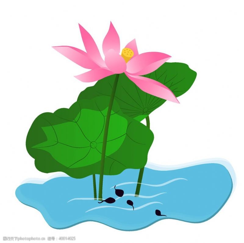 荷塘盛开的粉色荷花插画图片